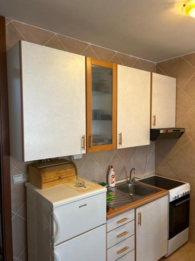 Apartment Sara Podgoriţa Exterior foto
